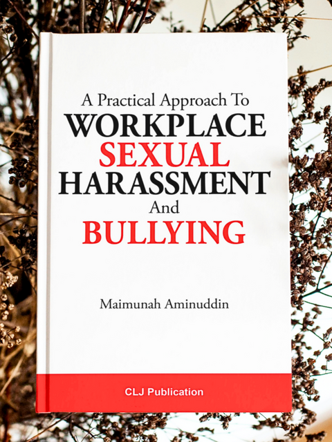 A Practical Approach To Workplace Sexual Harassment And Bullying 2020